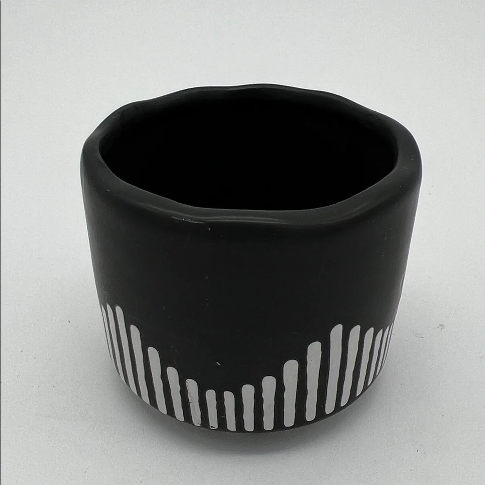 Black and White Ceramic Succulent Planter